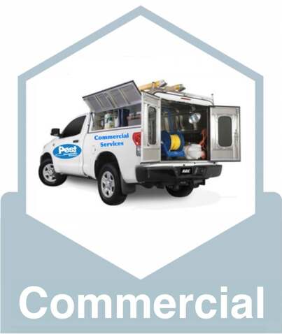 Commercial Pest Control Greenville
